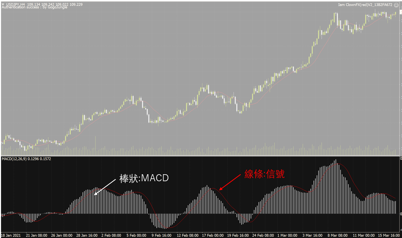 在MT4顯示MACD指標的畫面
