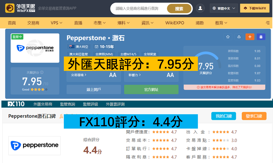 外匯天眼&FX110評價