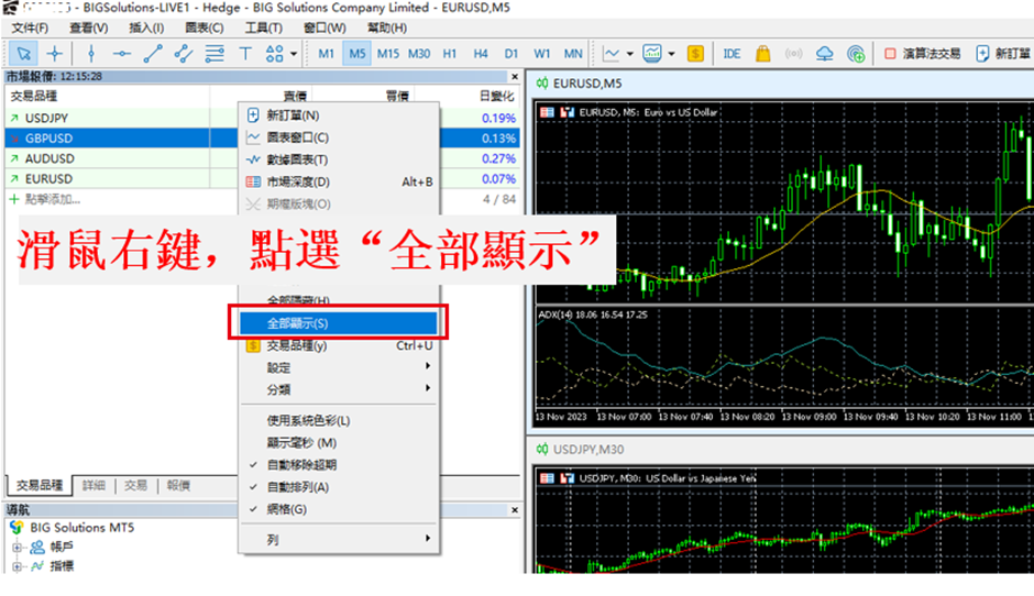 BigBoss MT4/5交易品種